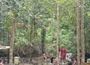 Kunjungan Air Terjun C2 Terus Meningkat