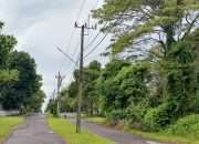 Gerak Cepat Petugas PLN Koba Tangani Kerusakan SUTM Akibat Petir