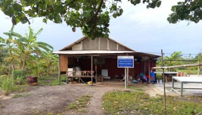 PT TIMAH Berdayakan KWT Lanjut Lestari