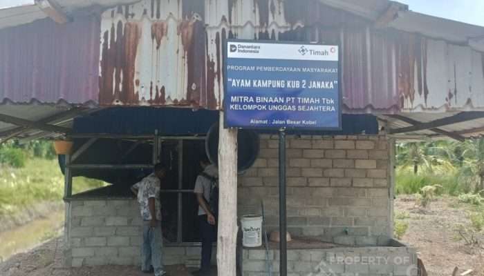 Sejak Awal Sudah Dibantu PT TIMAH