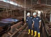 PT TIMAH Bukukan Laba Bersih Rp1,31 triliun