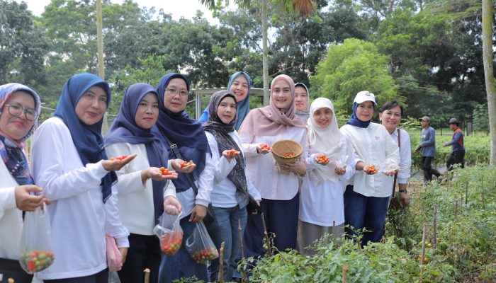 Dorong Pengendalian Inflasi Melalui Gerakan Tanam Cabai