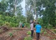 Tambang Ilegal Ditemukan di Kawasan Hutan Produksi