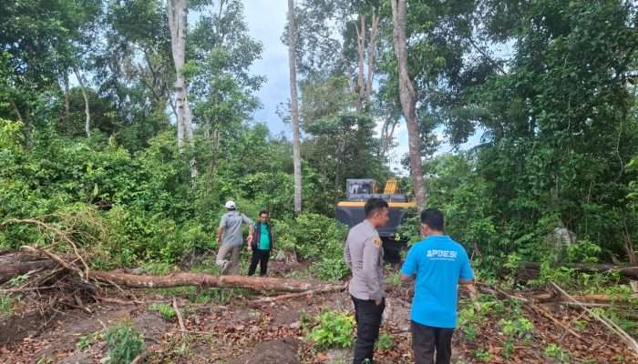 Tambang Ilegal Ditemukan di Kawasan Hutan Produksi