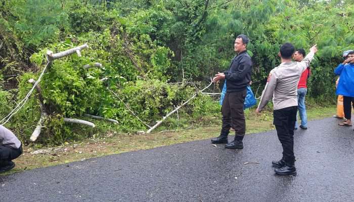 Warga Diimbau Waspadai Cuaca Ekstrem
