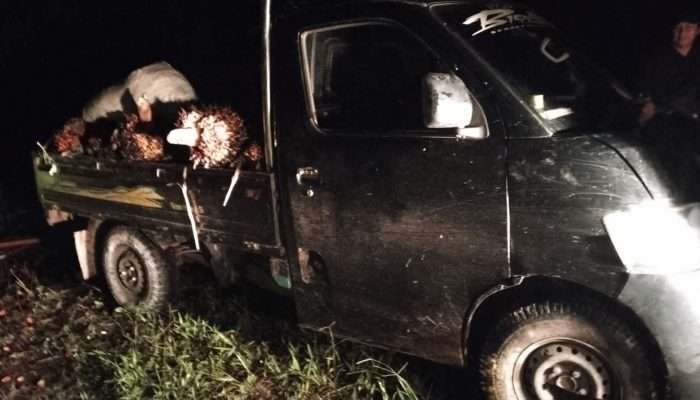 Mobil Ninja Sawit Diamankan Polisi