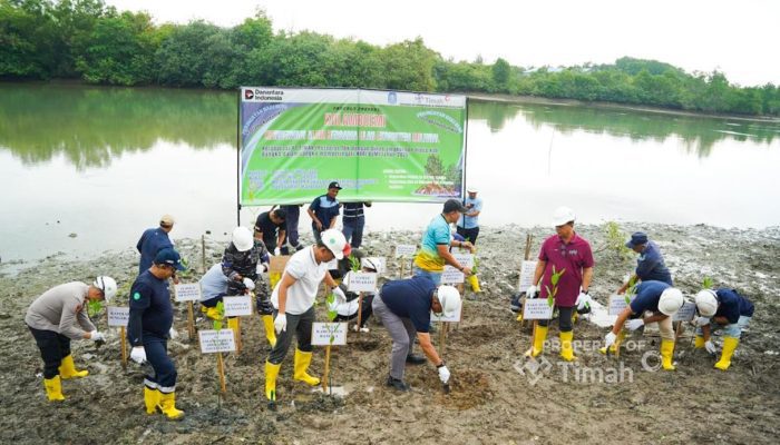 Penataan Kawasan Pasca Tambang Terus Berlanjut