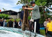 Bupati Optimistis Budidaya Udang Vaname Jadi Penopang PAD