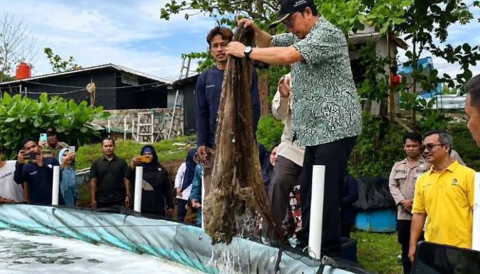 Bupati Optimistis Budidaya Udang Vaname Jadi Penopang PAD