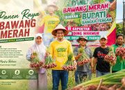 Lubuk Pabrik Jadi Sentra Hortikultura