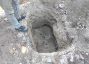Misteri Dugaan Perburuan Harta Karun di Kebun Sawit