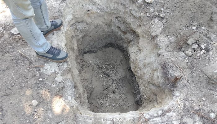 Misteri Dugaan Perburuan Harta Karun di Kebun Sawit