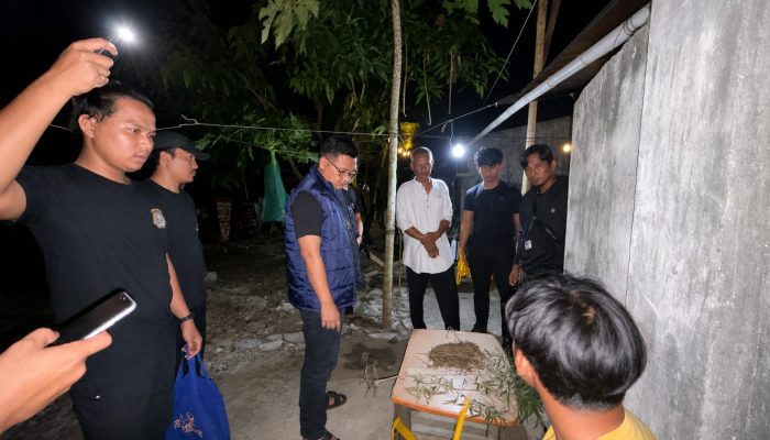 Seorang Pemuda Ditangkap Gegara Ganja
