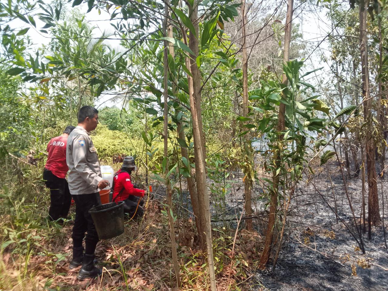 Lahan Kosong di Mentok Terbakar